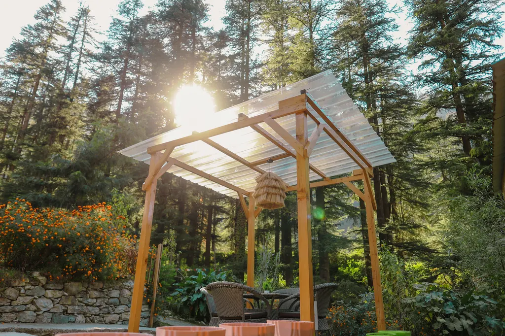 Outdoor Pergola Seating in Forest