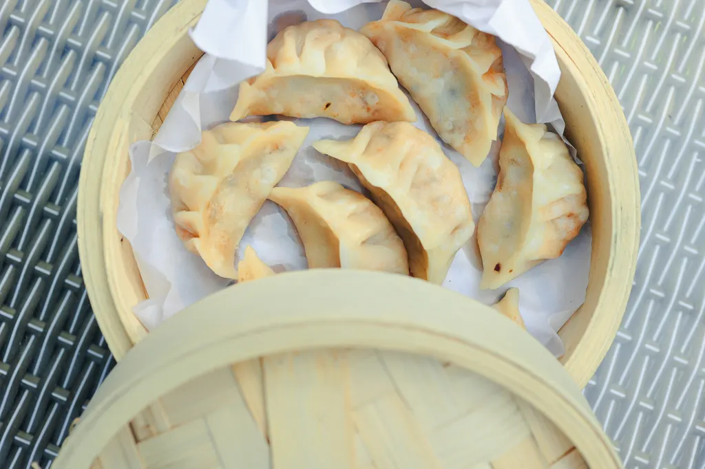 Pan Fried Dumplings Bamboo Steamer